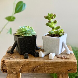 May include: Two small succulent plants in black and white planter pots with legs. The pots are sitting on a wooden stool.