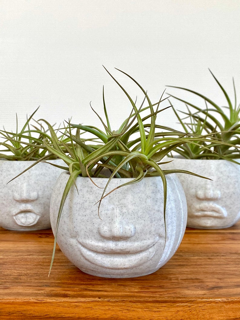 Cute Funny Face Planter Smiling Expression Head Planter Etsy