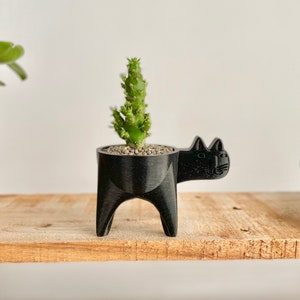 Cat Planter, Cat Cactus Planter, Cat Succulent Planter, Cat Gift Idea, Minimalist Decor, Boho, Cat Plant Pot, Cat Decor Twinkling Black