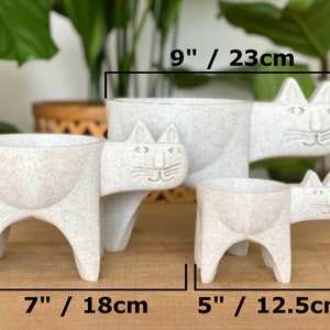 Cat Planter, Cat Cactus Planter, Cat Succulent Planter, Cat Gift Idea, Minimalist Decor, Boho, Cat Plant Pot, Cat Decor image 9