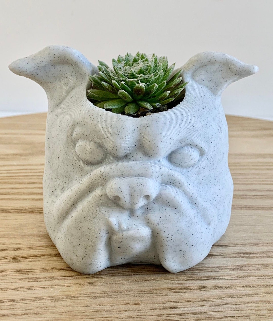 English Bulldog Planter, English Bulldog Gift, English Bulldog Lover