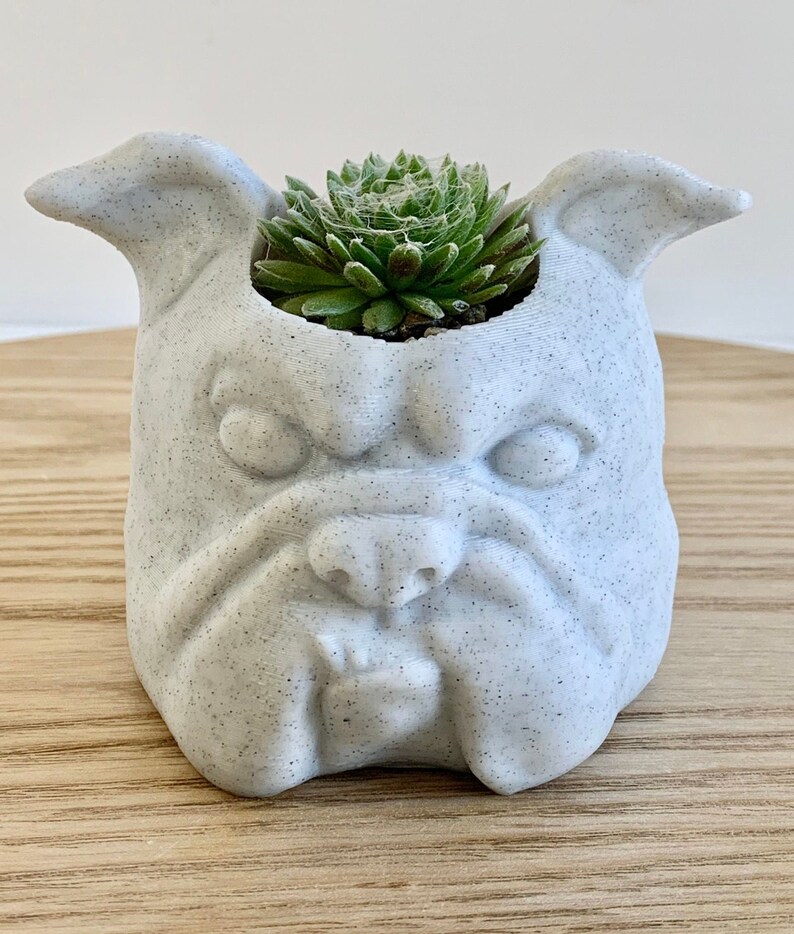 English Bulldog Planter, English Bulldog Gift, English Bulldog Lover, Dog Planter, English Bulldog Decor, Dog Succulent Planter, Bulldog Pot image 1