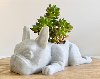French Bulldog Planter, French Bulldog Gifts, Succulent Planter, Dog Plant Lover, Frenchie Pot, French Bulldog Decor, Frenchie Gifts