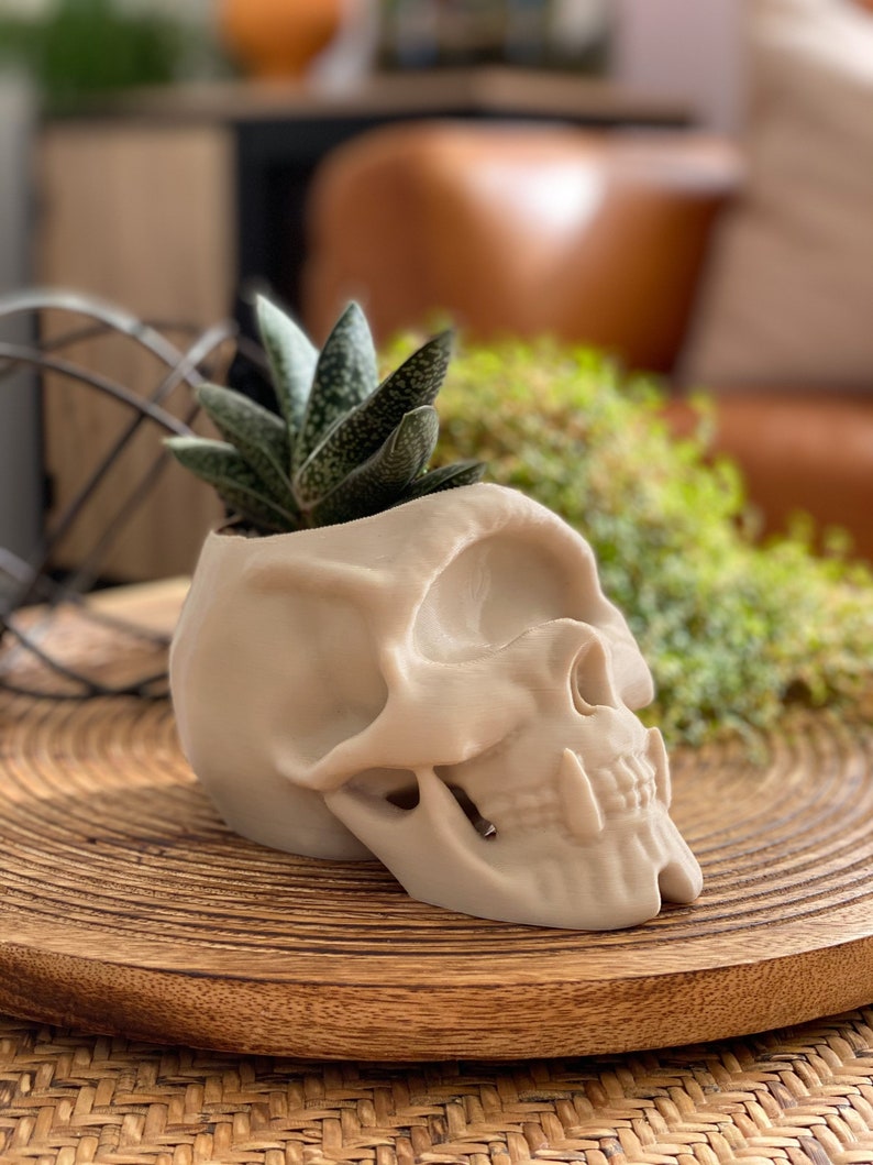 Skull Decor, Gothic Home Decor, Skull Planter, Succulent Planter, Cyclops Skull Indoor Planter, Skull Pen Pot image 1