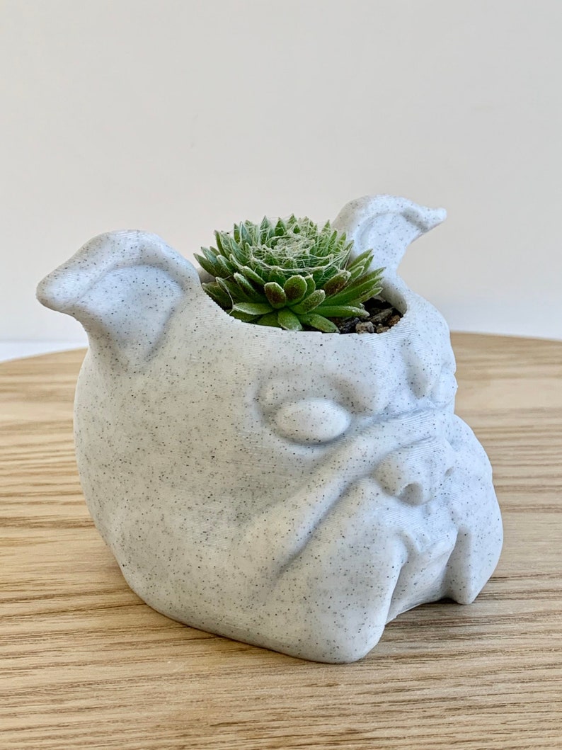 English Bulldog Planter, English Bulldog Gift, English Bulldog Lover, Dog Planter, English Bulldog Decor, Dog Succulent Planter, Bulldog Pot image 3