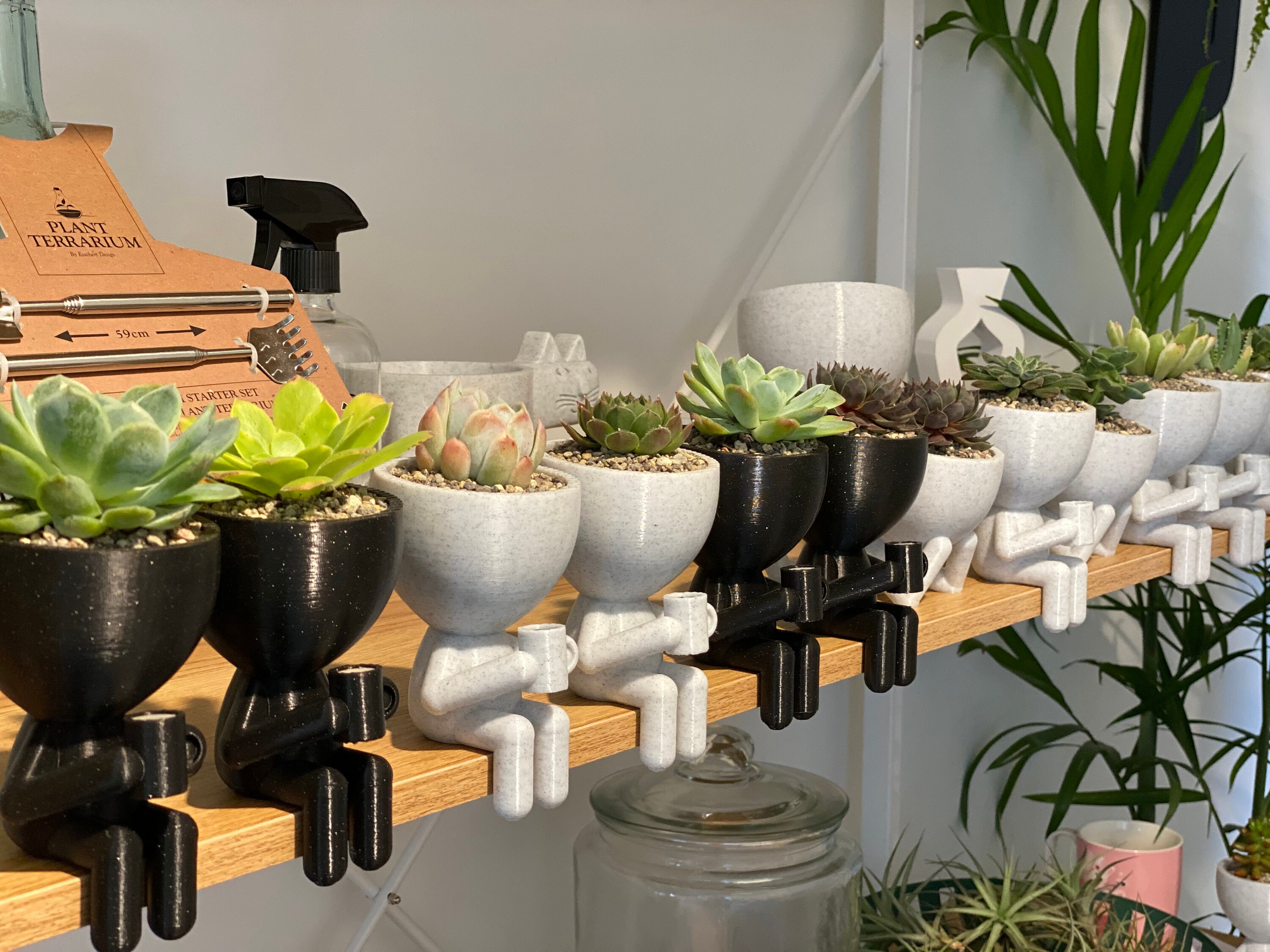 Esschert Design Ensemble pour Plantes d'Intérieur, 1 kit