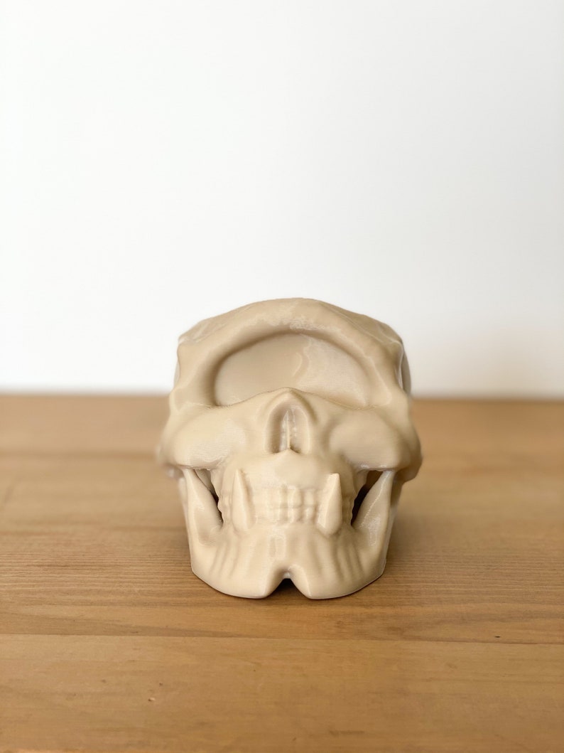 Skull Decor, Gothic Home Decor, Skull Planter, Succulent Planter, Cyclops Skull Indoor Planter, Skull Pen Pot image 6