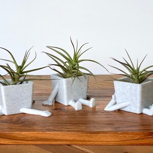 May include: Three white ceramic planters shaped like people with legs and arms, each holding a small green air plant.