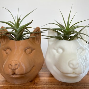 May include: Two ceramic planters shaped like dog heads, one brown and one white, each with a green air plant growing inside.
