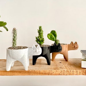 Cat Planter, Cat Cactus Planter, Cat Succulent Planter, Cat Gift Idea, Minimalist Decor, Boho, Cat Plant Pot, Cat Decor image 1