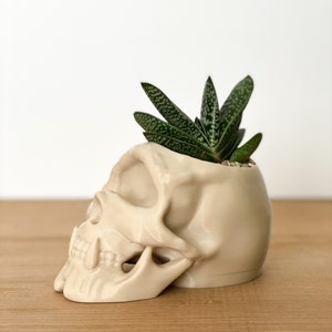 Skull Decor, Gothic Home Decor, Skull Planter, Succulent Planter, Cyclops Skull Indoor Planter, Skull Pen Pot image 3