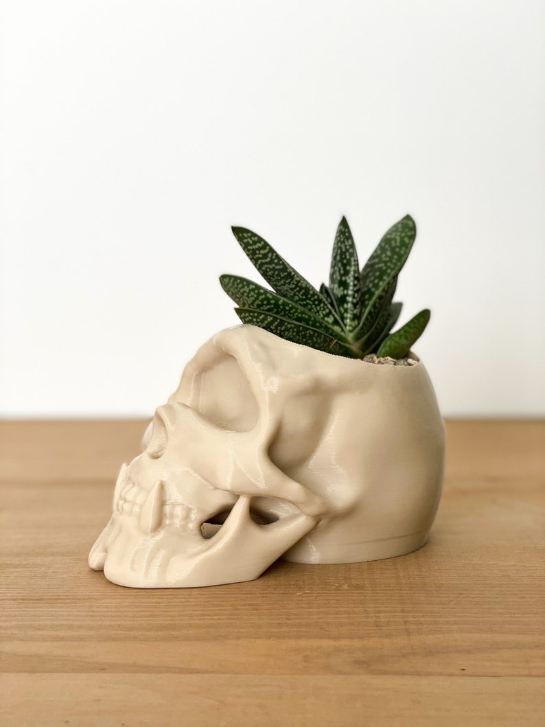 Skull Decor, Gothic Home Decor, Skull Planter, Succulent Planter, Cyclops Skull Indoor Planter, Skull Pen Pot image 3