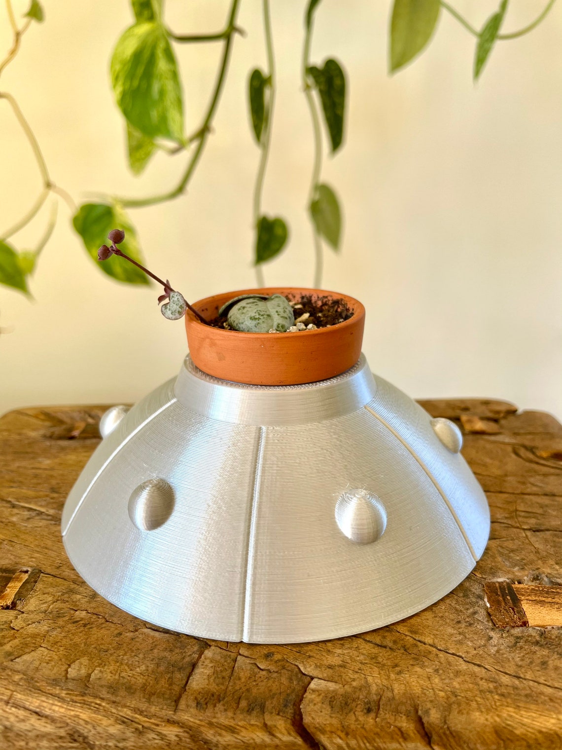 Adorable UFO Pot for Plants Flying Saucer Planter Cute Etsy
