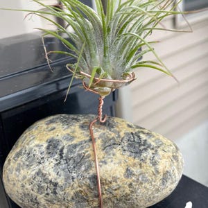 Handmade Rock & Wire Air Plant Holders, Air Plant Paperweights