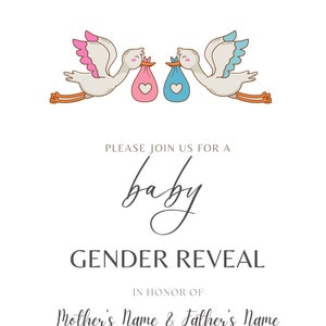 Gender Reveal Invitation, Custom Bender Reveal Invitation, Stork Baby Gender Reveal, Blue and Pink Invite, Digital Download, Printable