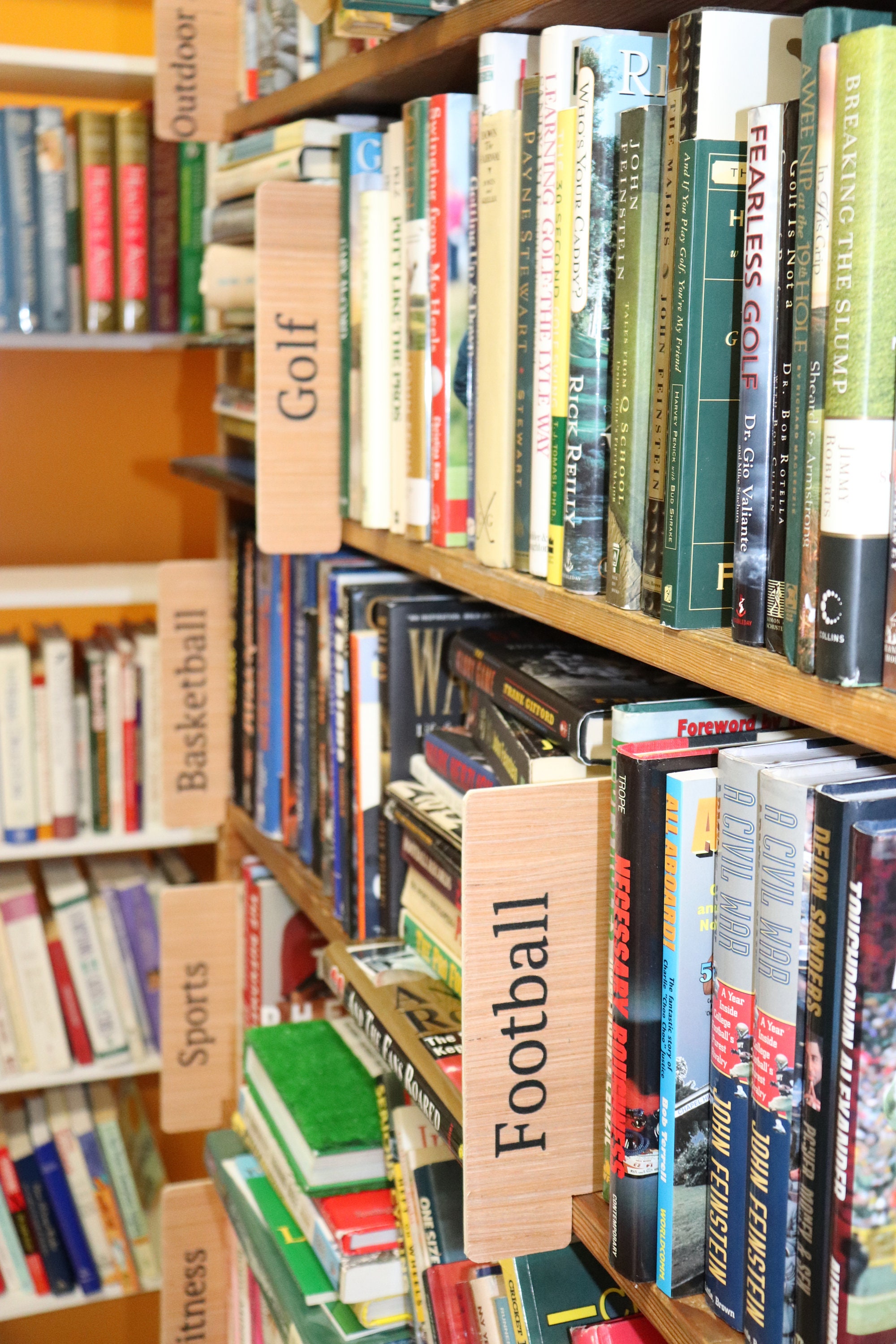 Bookshelf, DVD, Movie, Genre Dividers Wooden and Handpainted Etsy