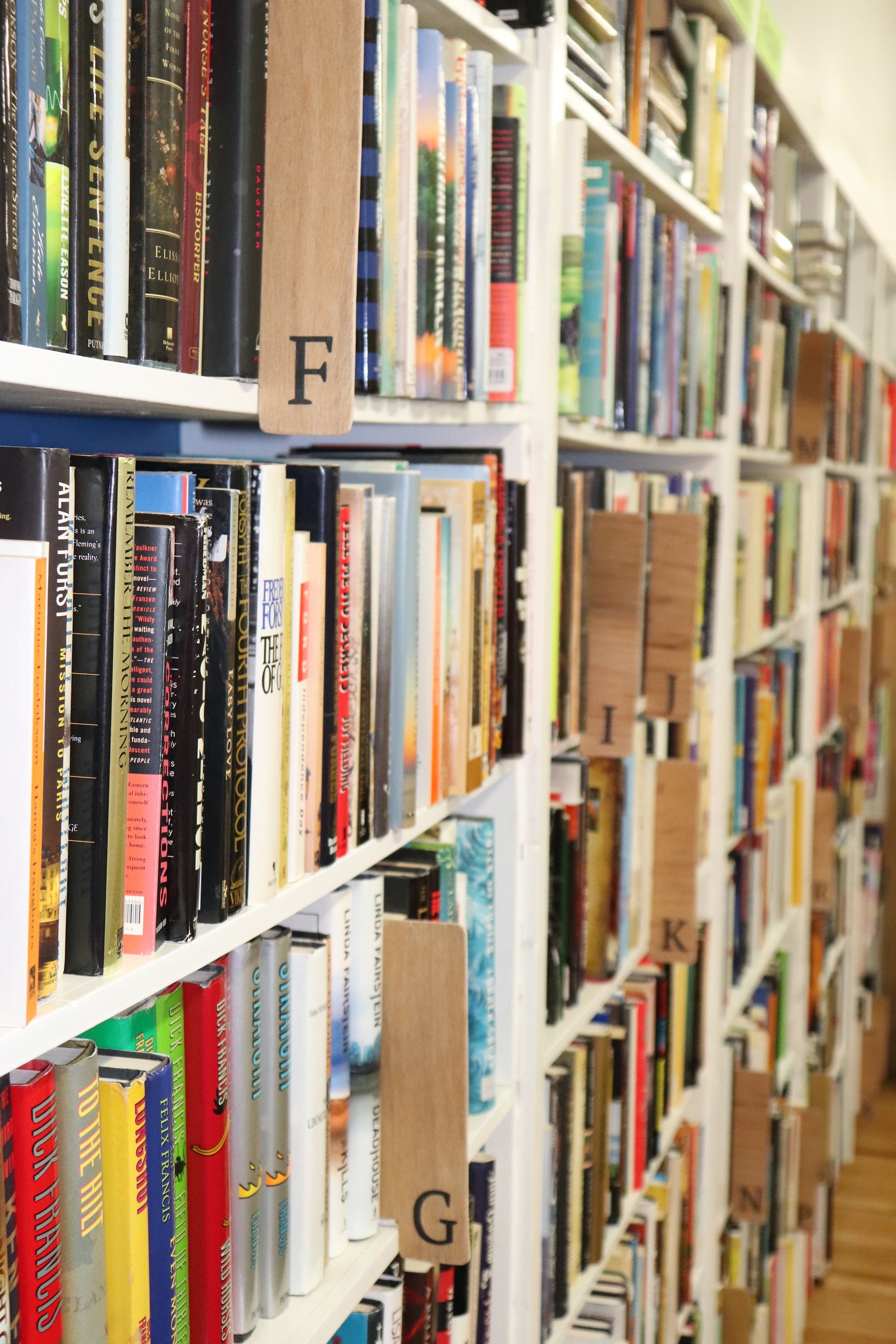 Bookshelf, DVD, Movie, Genre Dividers Wooden and Handpainted Etsy