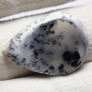 58Carat 42x26x7mm Amazing And Good Looking Stone Natural  Dendrite Opal Gemstone