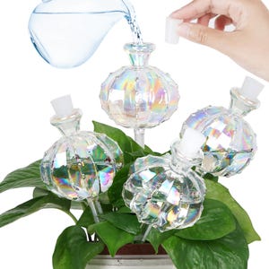 Selbstbewässernde Pflanzer-Einsatz. 4-teiliges Pflanzenbewässerungsgerät. Regenbogenfarben Kaktus Form Selbstbewässernde Kugeln. Geschenke für Pflanzenliebhaber