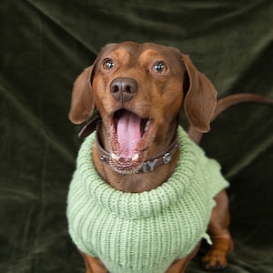 Kabel stricken Dackel Jumper (Apple)