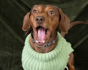 Cable knit Dachshund Jumper (Apple)