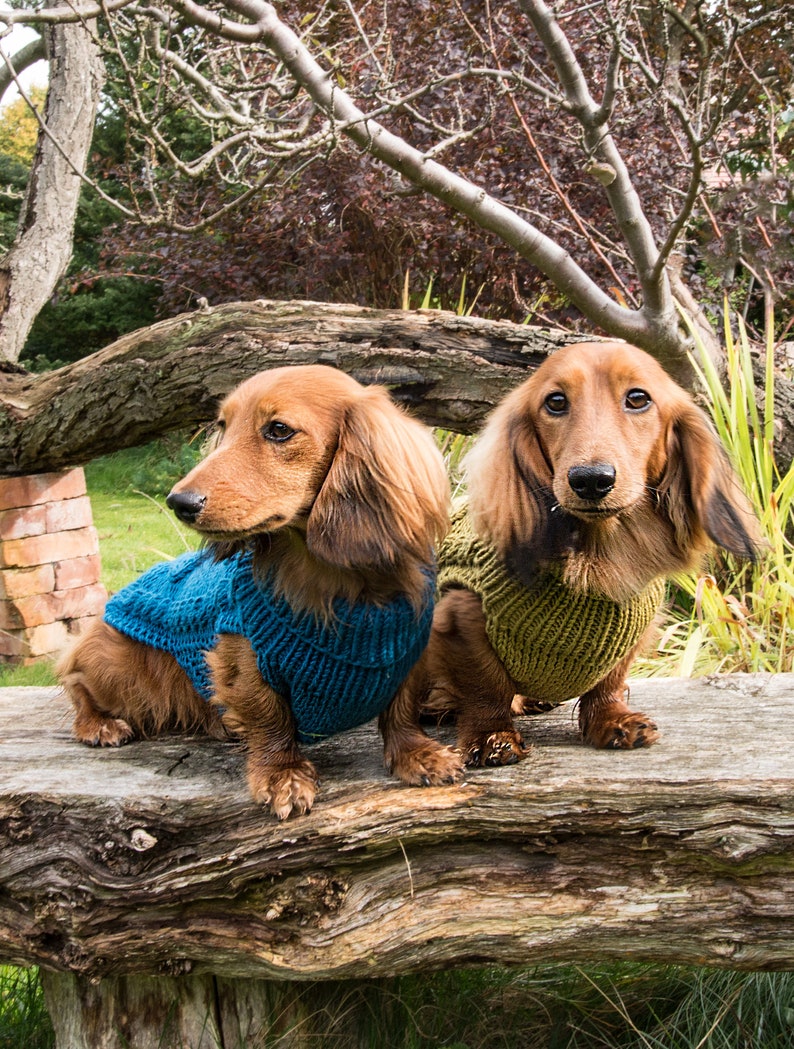 Cable Knit Dachshund Jumper teal Etsy UK