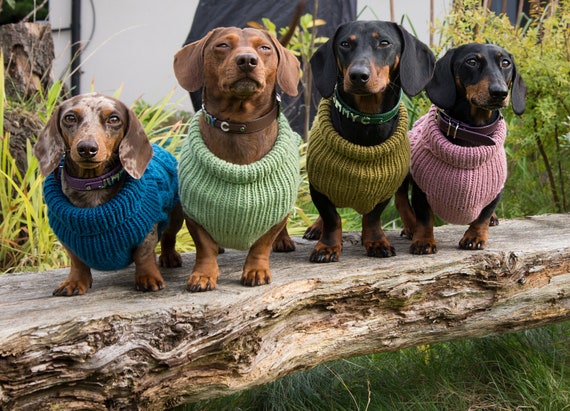 Cable knit Dachshund Jumper Teal | Etsy