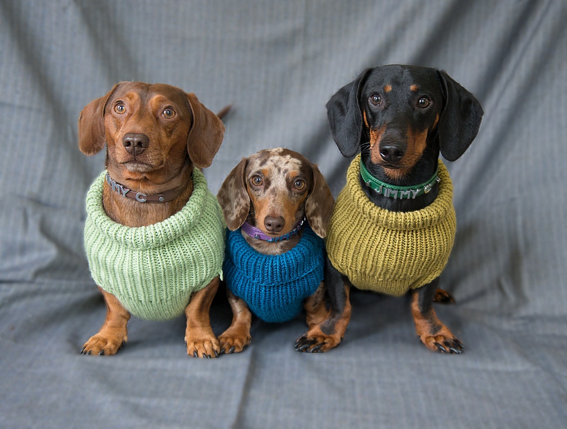 Cable Knit Dachshund Jumper teal Etsy UK
