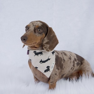 Dachshund Print Neckerchief