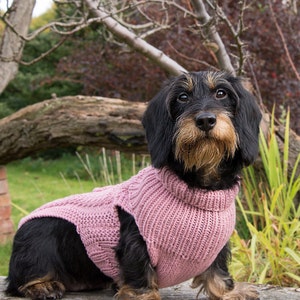 Cable knit Dachshund Jumper (pink)