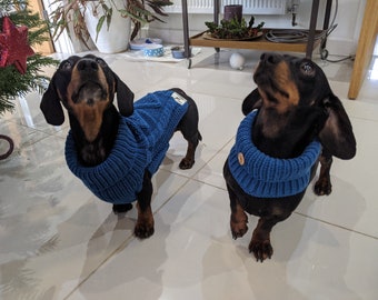 Tricot câble Dachshund Snood (Sarcelle)