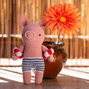 Pedro Von Dito Pig Crochet piglet Amigurumi
