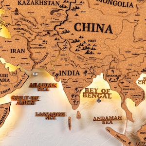 Carte du monde de voyage avec punaises de Cork