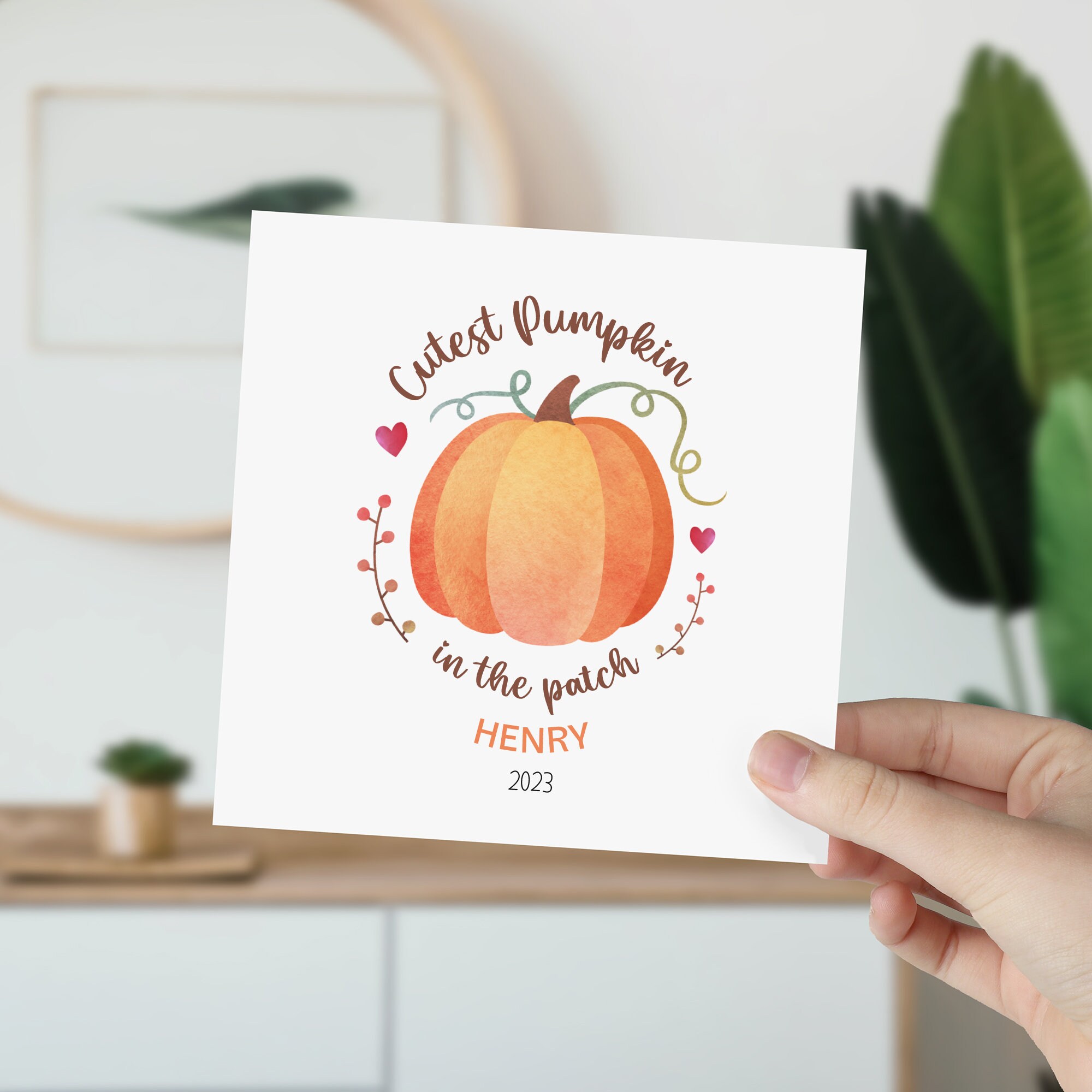 Pumpkin online patch kidswear