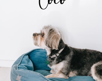 Pet Name Custom Wall Decal Personalized