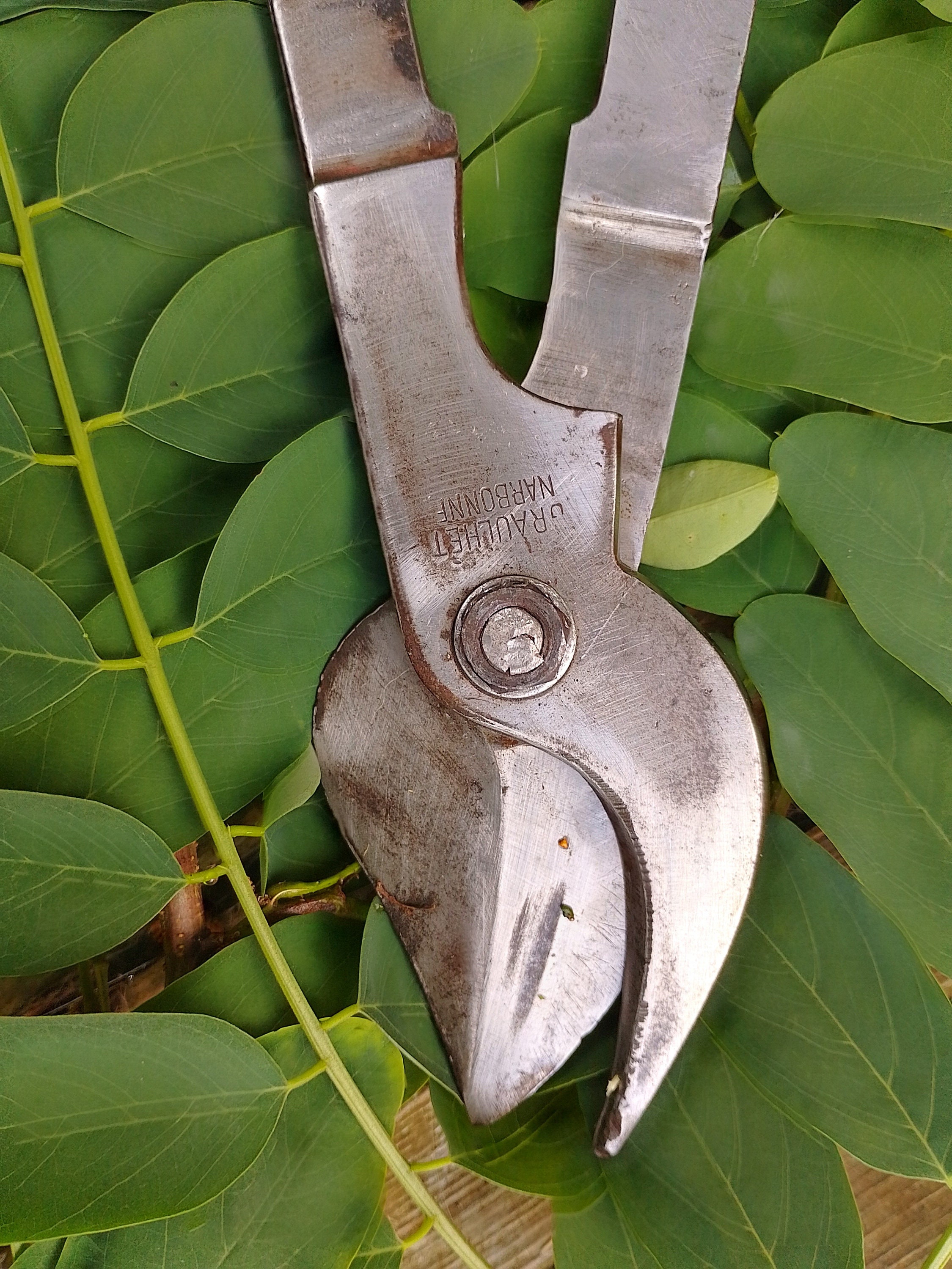 Vintage French Vine Pruners / Secateurs Etsy