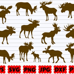 Moose SVG | Moose SVG Bundle | Moose Cut File | Moose Clipart | Moose Vector | Moose  Silhouette | Moose Wilderness Svg | Moose Designs Svg