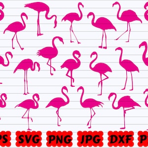 Flamingo SVG | Bird SVG | Flamingo SVG Bundle | Flamingo Cut File | Flamingo Clipart | Flamingo Silhouette | Bird Cut File | Bird Clipart