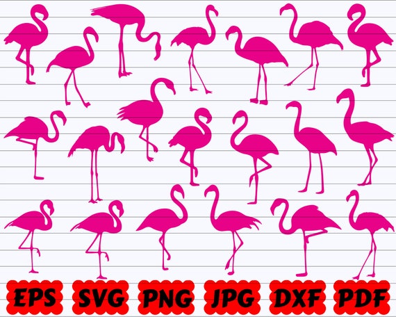 Flamingo SVG | Bird SVG | Flamingo SVG Bundle | Flamingo Cut File | Flamingo Clipart | Flamingo Silhouette | Bird Cut File | Bird Clipart