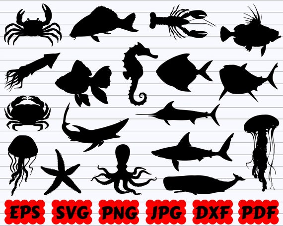 Download Ocean Life Svg Ocean Creatures Svg Sea Animals Svg Etsy