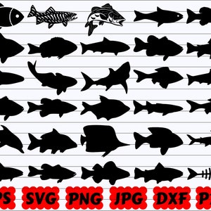 Peixe SVG | Pacote SVG de peixe | Silhueta de peixe | Arquivos de corte de peixe | Clipart de peixe | Vetor de peixe | Peixe Tropical Svg | Baixo Svg | Design de peixe Svg