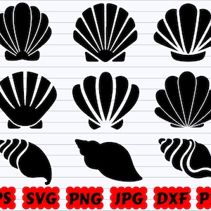 Seashell SVG | Seashell SVG Bundle | Seashell Cut Files | Seashell Silhouette | Seashell Clipart | Seashell Vector | Ocean Svg | Sea Svg