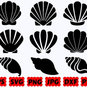Concha SVG / Océano SVG / Mar SVG / Concha Svg / Playa Svg / Archivos de corte para Cricut y Silhouette / Svg Eps Dxf Png Jpg Pdf / Uso comercial