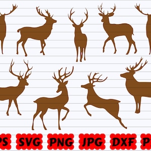 Reindeer SVG | Reindeer SVG Bundle | Reindeer Cut File | Reindeer Clipart | Reindeer Vector | Reindeer Silhouette | Deer Svg | Deer Cut File