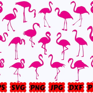 Flamant rose SVG | Oiseau SVG | Animaux SVG | Fichiers de découpe pour Cricut & Silhouette | Svg Eps Dxf Png Jpg Pdf | Utilisation commerciale
