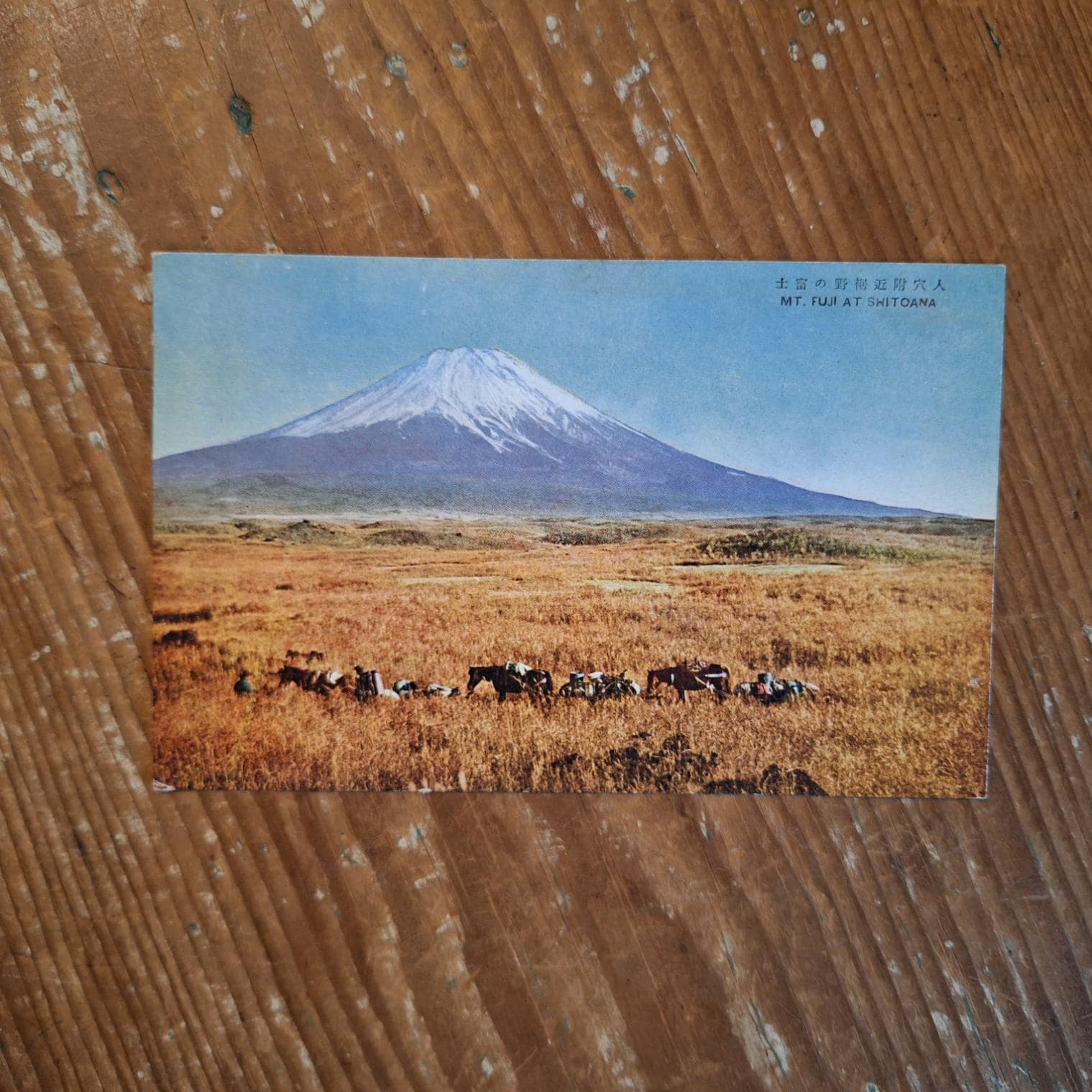 Mt Fuji Postcard - Etsy