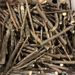 Lot of 30 Ash Wood Sticks