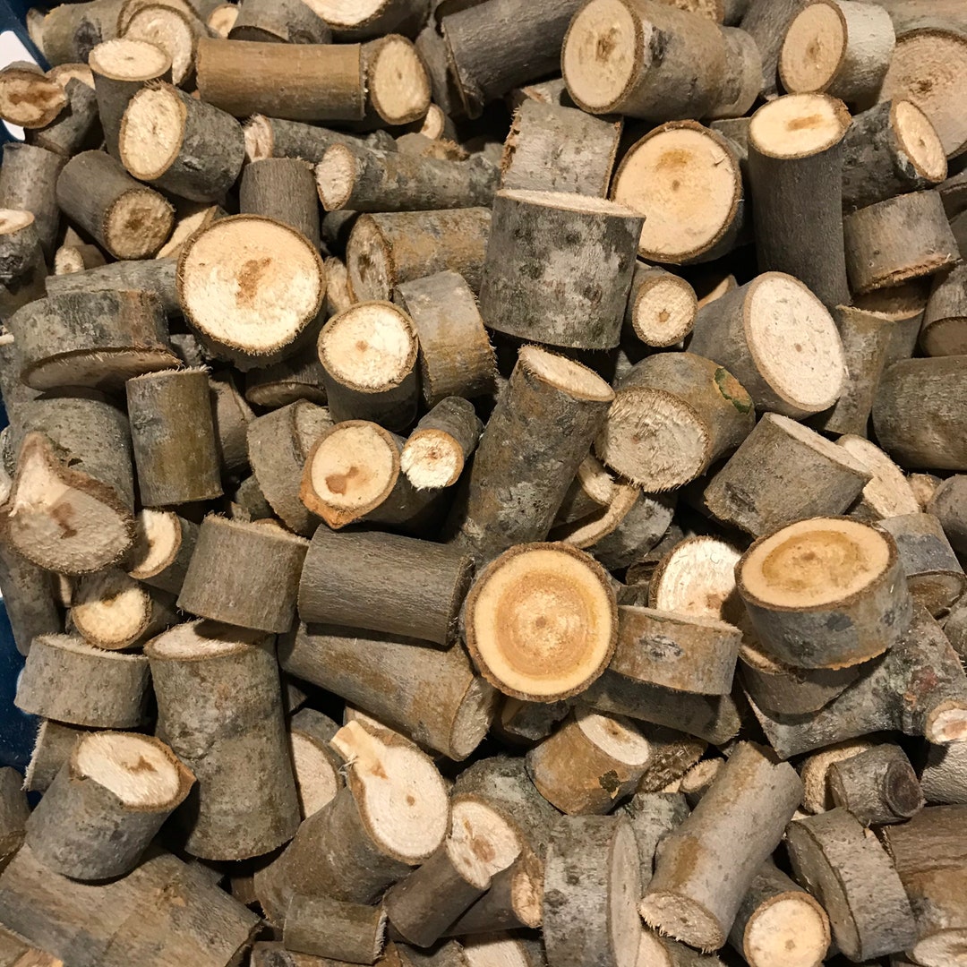 30pcs. Poplar Wood Chunks for Parrot Bird Chinchilla, Rabbit Toys