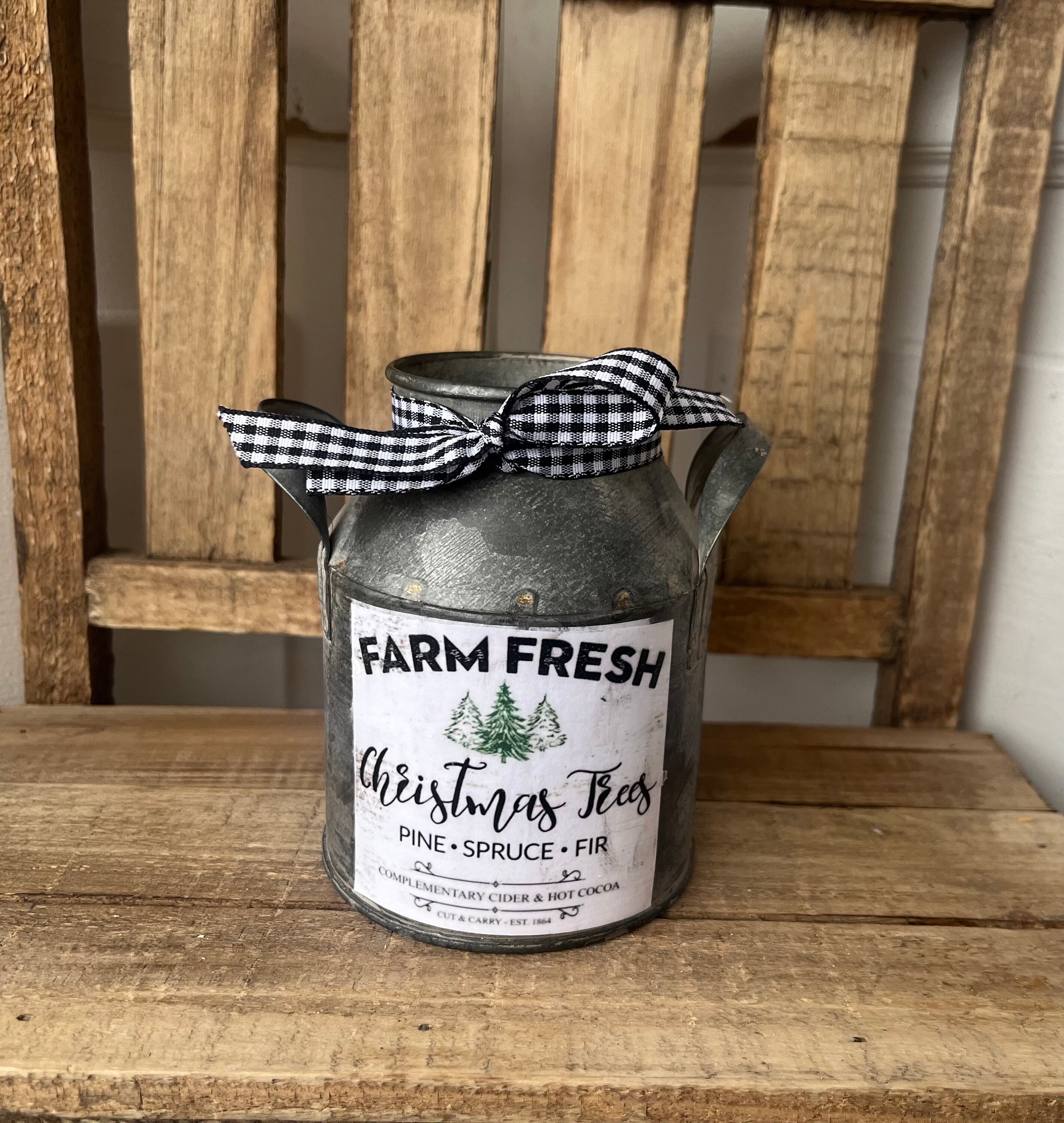 Milk‐tree♡ African Milk Tree 🪴 These plants enjoy: ☼A few hours of morning