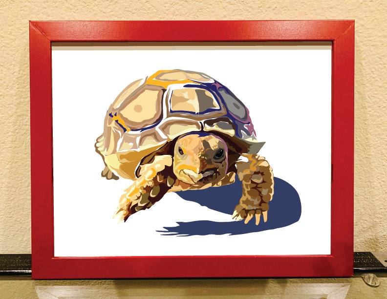 Sulcata Art Sulcata Print African Spotted Tortoise Wall | Etsy